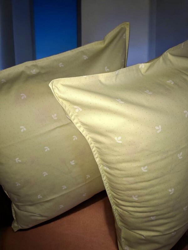 Yostiq jildi 2 dona 1828