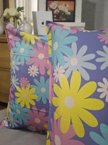 Yostiq jildi 2 dona 1860