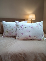 Комплект из 2-х подушек 11619