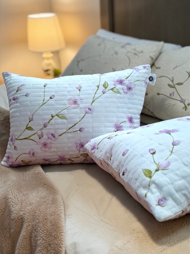 Комплект из 2-х подушек 11619