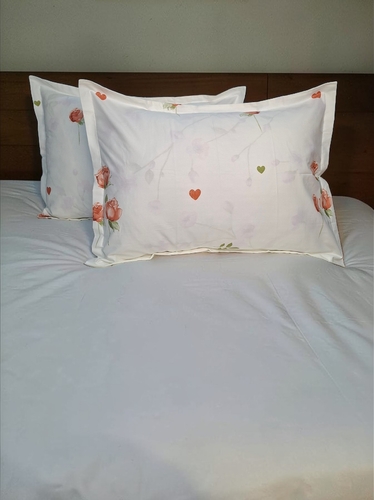 Yostiq jildi 2 dona 1871