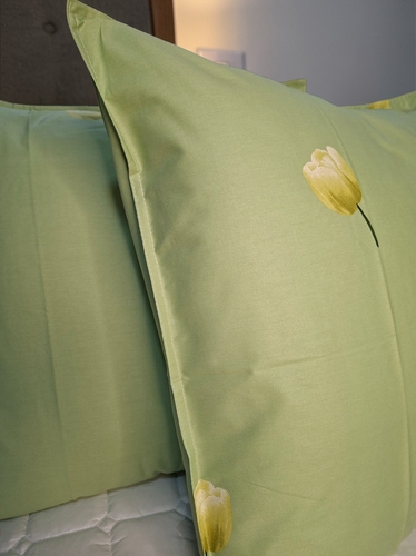 Yostiq jildi 2 dona 1874