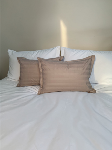 Yostiq jildi 2 dona 1886