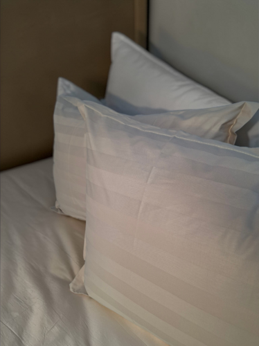 Yostiq jildi 2 dona 1886