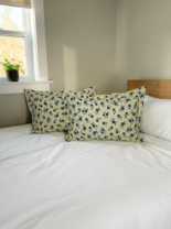 Yostiq jildi 2 dona 1899