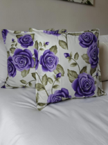 Yostiq jildi 2 dona 1904