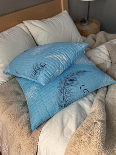 Комплект из 2-х подушек 11629