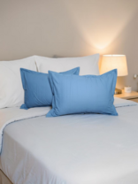 Yostiq jildi 2 dona 1909